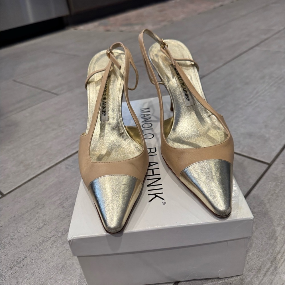 Manolo Blahnik Nude and Silver Pointed-Toe Slingback Heels - Picture 2 of 16